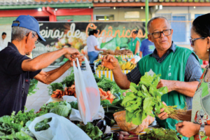 ceasa-pe-mantem-funcionamento-parcial-durante-o-carnaval-para-garantir-abastecimento