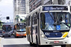 carnaval-2025:-consorcio-de-transporte-metropolitano-ativa-11-linhas-especiais-para-os-folioes