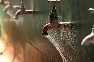 leitor-do-ipsep-escreve-carta-com-indignacao-contra-falta-d’agua