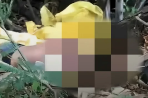 mulher-e-encontrada-morta-em-mangue-na-zona-sul-do-recife;-companheiro-e-principal-suspeito