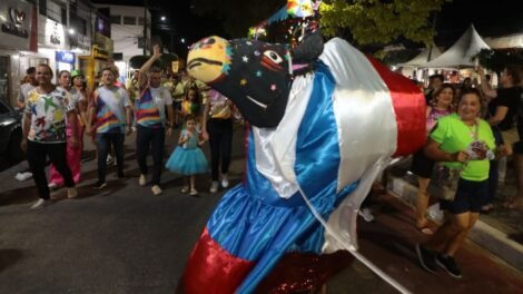 abertura-reuniu-todas-as-expressoes-culturais-do-carnaval-de-afogados 