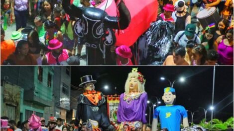 ciclo-carnavalesco-de-arcoverde-mantem-viva-a-tradicao-da-folia-dos-bois