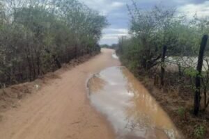 pajeu-registra-apenas-400-milimetros-de-chuvas-em-fevereiro