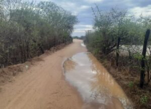 pajeu-registra-apenas-400-milimetros-de-chuvas-em-fevereiro