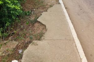 vereador-denuncia-abandono-de-ponte-em-st-e-quer-protecao-contra-suicidio
