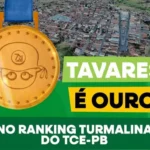 tavares-atinge-nota-maxima-em-transparencia-de-gestao-publica-no-ranking-turmalina-do-tce-pb