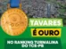 tavares-atinge-nota-maxima-em-transparencia-de-gestao-publica-no-ranking-turmalina-do-tce-pb