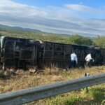 onibus-da-progresso-colide-contra-cavalo,-capota-e-deixa-27-vitimas-na-br-232