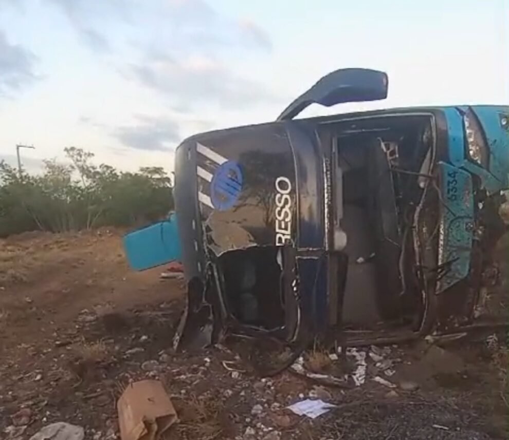 cavalo-solto-na-pista-causa-acidente-com-onibus-da-viacao-progresso