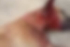 ouvinte-denuncia-maus-tratos-contra-caes-em-varzinha