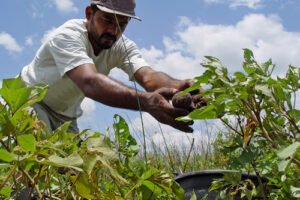 prefeitura-de-brejinho-anuncia-pagamento-do-garantia-safra