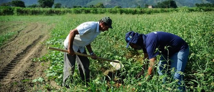 agricultores-itapetinenses-comeca-a-receber-garantia-safra