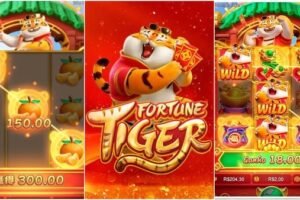 operacao-prende-influenciadores-que-divulgam-jogo-do-tigrinho:-‘forma-de-iludir-os-seguidores’