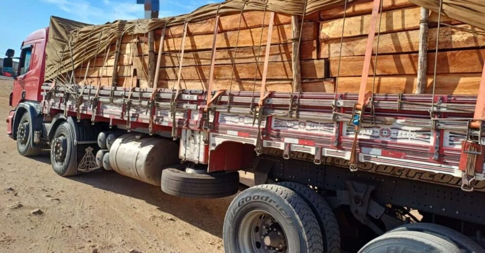 prf-flagra-6-caminhoes-com-madeira-irregular,-um-deles-foi-em-serra-talhada