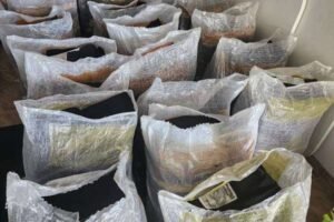 pf-pe-realiza-descarte-de-coletes-balisticos-vencidos