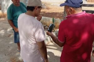 em-afogados,-moradores-reclamam-de-fedentina-deixada-por-abatedouro-regional