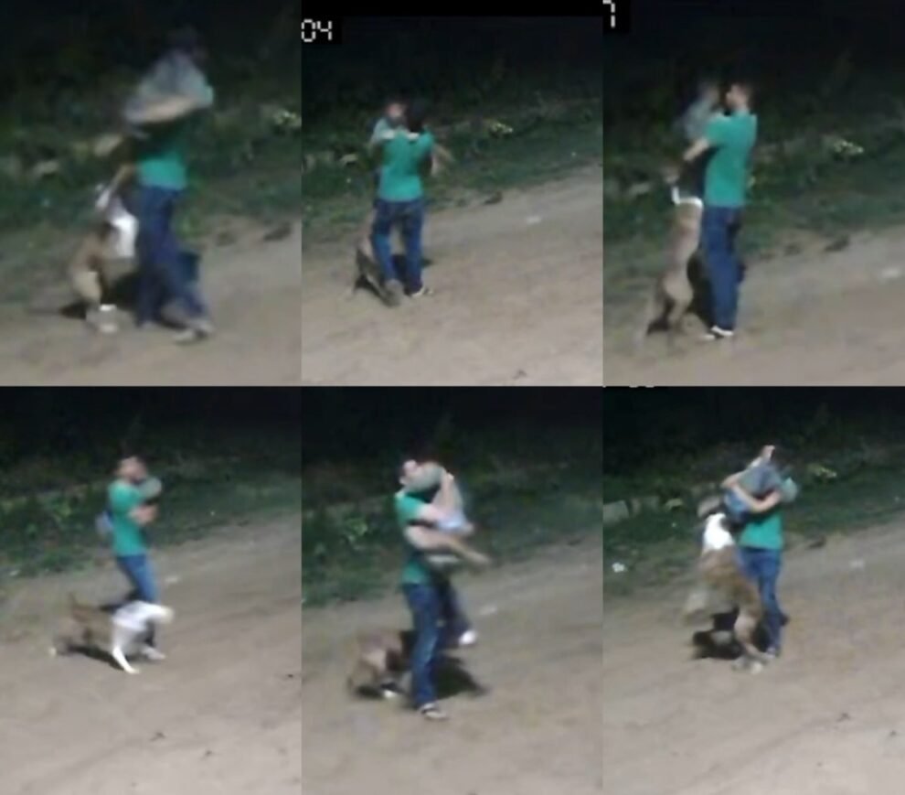 ataques-de-racas-agressivas:-estado-tem-lei-que-proibe-circulacao-e-ate-criacao