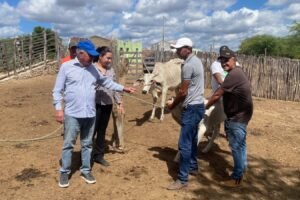 prefeitura-de-iguaracy-da-continuidade-ao-programa-municipal-de-vacinacao-contra-brucelose