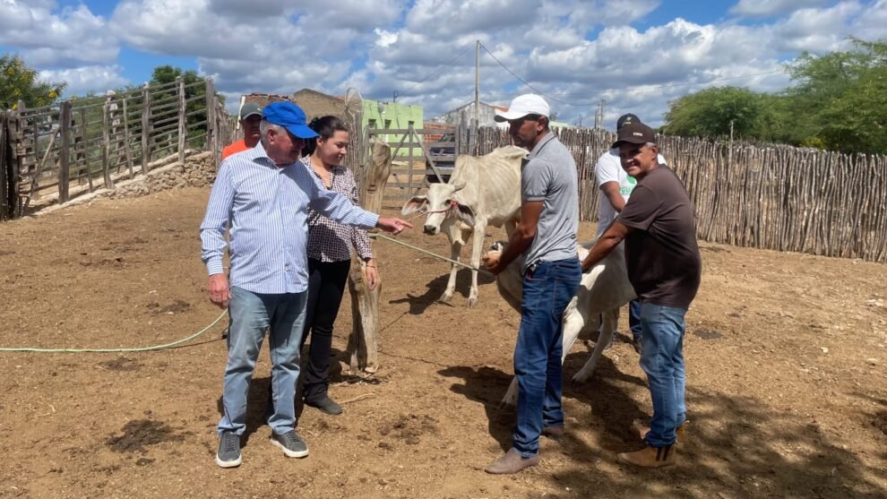 prefeitura-de-iguaracy-da-continuidade-ao-programa-municipal-de-vacinacao-contra-brucelose