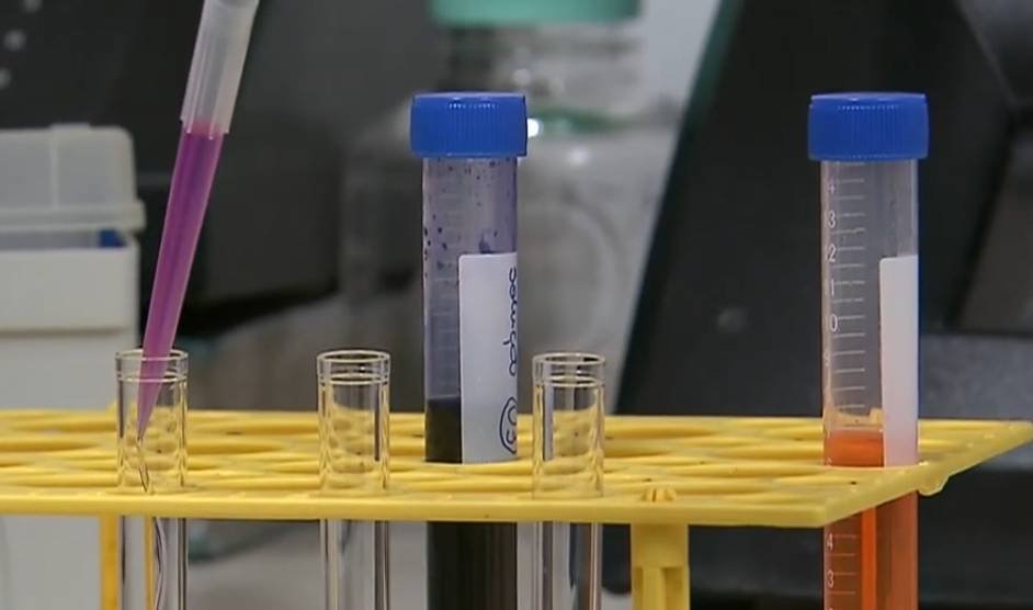 iguaracy-promove-mutirao-de-testagem-contra-a-doenca-de-chagas-na-feira-livre-hoje