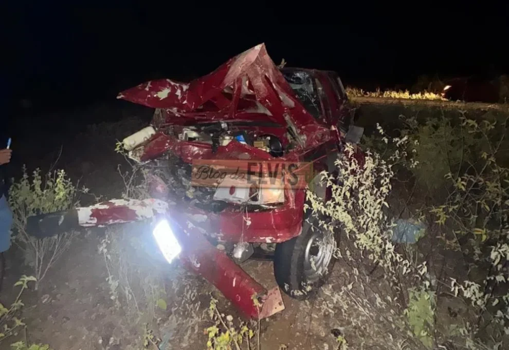 motorista-e-transferido-para-st-apos-colisao-com-animal-em-floresta