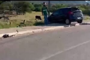 serra-talhada;-carro-derruba-poste-apos-perder-controle