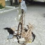 morador-de-rua-denuncia-‘buraco-da-queda’-em-bairro-de-serra-talhada