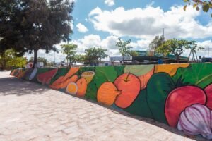 ceaca-inicia-semana-de-aniversario-de-33-anos-com-o-lancamento-do-programa-ceaca-limpa