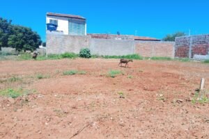 vende-se-tres-terrenos-de-facil-acesso-em-carnaiba
