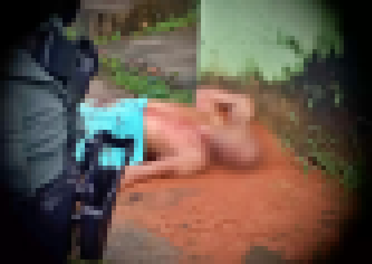 homem-e-executado-a-tiros-em-plena-rua-na-regiao-metropolitana-do-recife