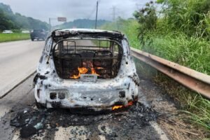 carro-pega-fogo-na-br-232-em-jaboatao-e-mobiliza-corpo-de-bombeiros