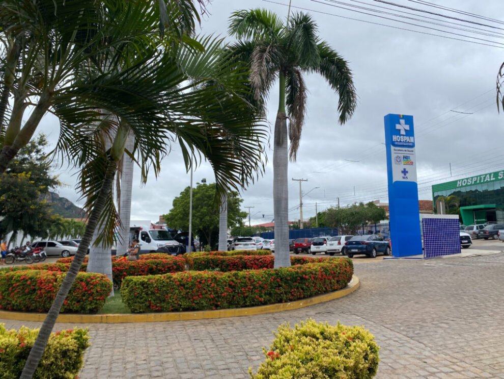 st-registra-novas-mordidas-de-caes-de-rua-e-ate-de-raposa-no-fim-de-semana