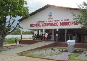 leitora-denuncia-falta-de-atendimento-no-centro-de-zoonoses-de-st