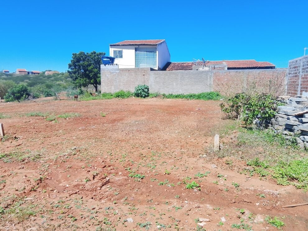 vende-se-tres-terrenos-de-facil-acesso-em-carnaiba