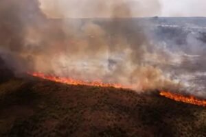 brasil-liderou-ranking-global-de-incendios-em-2024