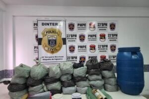 policia-civil-apreende-mais-de-30-kg-de-maconha-e-prende-duas-mulheres-em-afogados