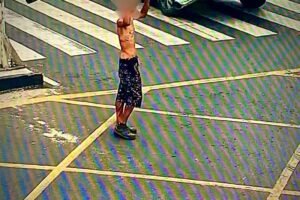 guarda-municipal-de-caruaru-apreende-material-suspeito-de-furto-de-patrimonio-publico