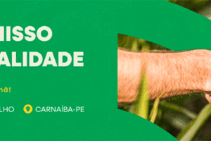 assista-a-74a-festa-das-rosas-ao-vivo-|-flores-pe-(23/05/2025)