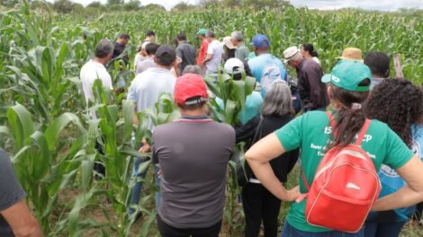 prefeitura-de-afogados-capacitou-agricultores-para-um-melhor-uso-da-agua-na-irrigacao