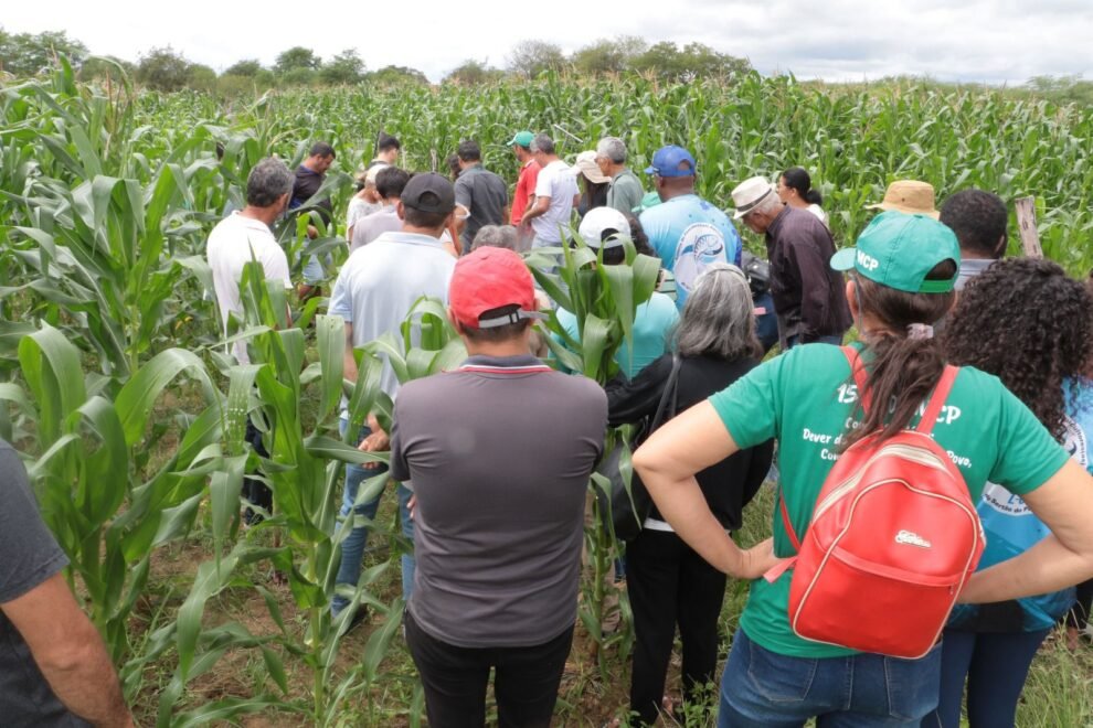 prefeitura-de-afogados-capacitou-agricultores-para-um-melhor-uso-da-agua-na-irrigacao