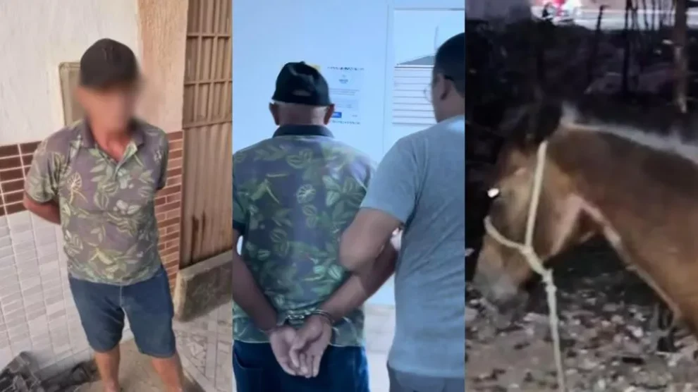 idoso-de-64-anos-e-preso-em-flagrante-por-suspeita-de-praticar-ato-sexual-com-egua-em-patos-pb