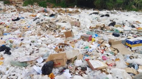 moradores-denunciam-descarte-irregular-de-lixo-perto-do-rio-pajeu,-em-afogados-da-ingazeira