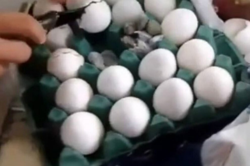 maconha-e-apreendida-dentro-de-ovos-no-presidio-de-igarassu
