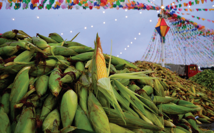 ceasa-pe-inaugura-patio-do-milho-2025-com-expectativa-de-9-milhoes-de-espigas-durante-o-sao-joao