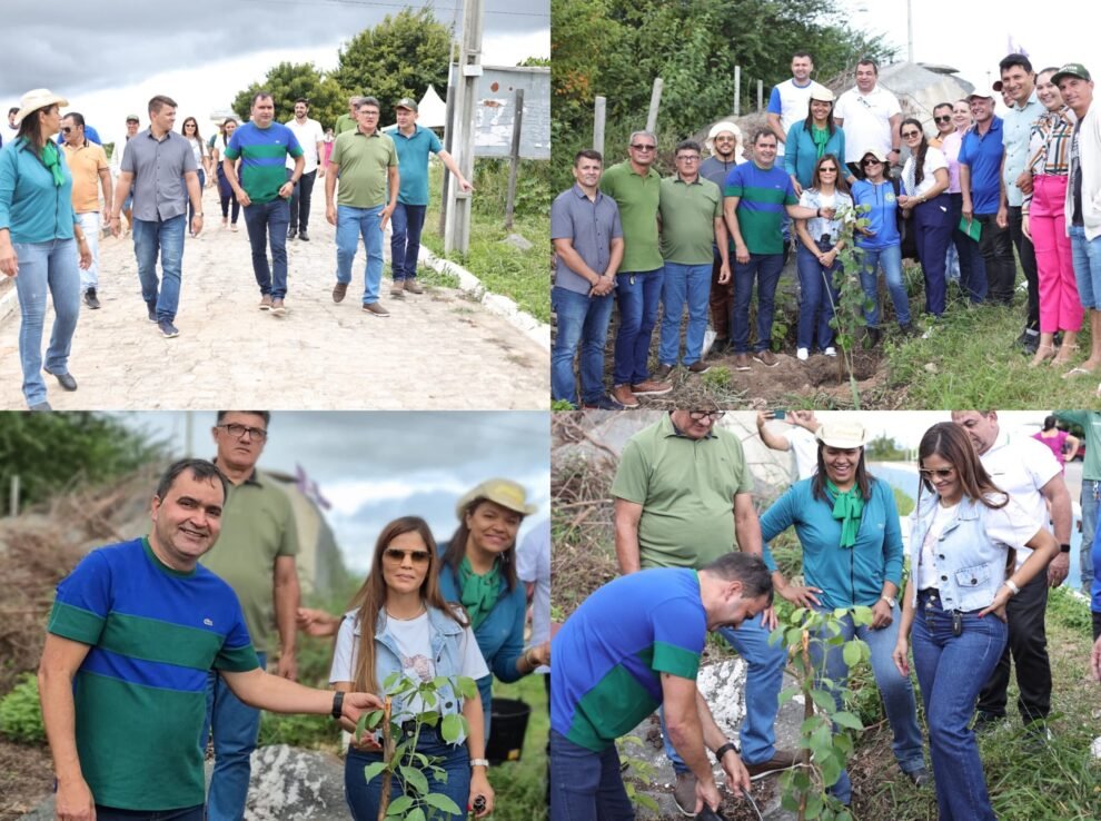 brejinho-lanca-projeto-“brejinho-arborizado”-e-reforca-compromisso-com-o-meio-ambiente