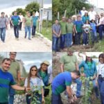 brejinho-inicia-projeto-de-arborizacao-em-parceria-com-ufcg-e-camara-de-vereadores