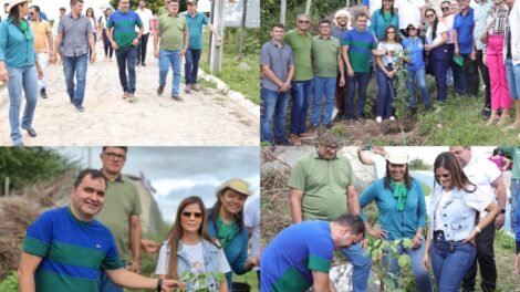 brejinho-inicia-projeto-de-arborizacao-em-parceria-com-ufcg-e-camara-de-vereadores