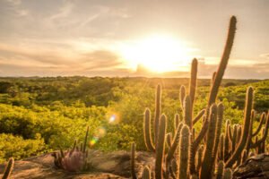 renda-entre-r$-1986-e-r$-4.996-daria-vida-digna-a-familias-rurais-do-nordeste,-diz-pesquisa