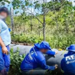 compesa-flagra-15-ligacoes-clandestinas-na-adutora-do-pajeu,-em-serra,-calumbi-e-triunfo