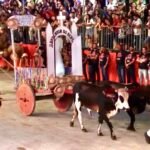 familia-estima-vence-o-festival-de-carro-de-boi-de-flores-2025-com-homenagem-ao-padre-cicero